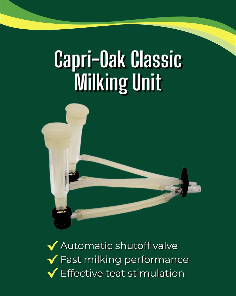 GreenoakNA's tweet photo. Designed to work together.

The Capri-Oak Classic Milking Unit and Covered Wash Jetter Tray provide a complete milking and cleaning solution for commercial goat operations.

Learn more or contact us today. 
https://t.co/vxsTprmcbl 

#GoatDairy #GoatFarming #MilkingEquipment https://t.co/AWzAbgJsZd
