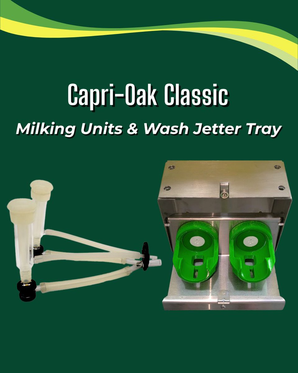GreenoakNA's tweet photo. Designed to work together.

The Capri-Oak Classic Milking Unit and Covered Wash Jetter Tray provide a complete milking and cleaning solution for commercial goat operations.

Learn more or contact us today. 
https://t.co/vxsTprmcbl 

#GoatDairy #GoatFarming #MilkingEquipment https://t.co/AWzAbgJsZd
