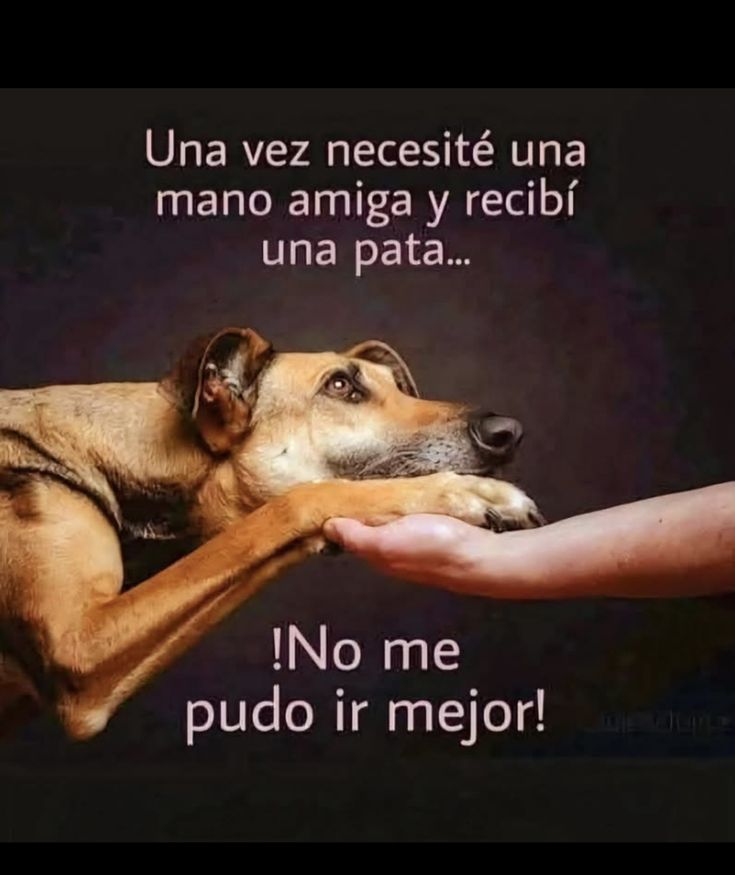 rey_latino33087's tweet photo. https://t.co/ENH8pMj2R0
