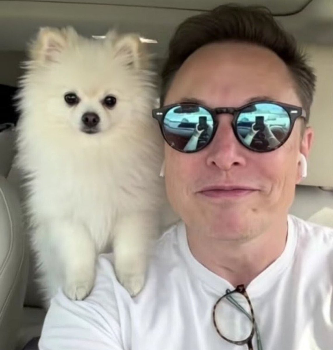 ElonInveste9bl's tweet photo. Meet Elon’s new fluffy little bundle of joy! 🥹🤍 

He needs the perfect name. 

Give us your best ideas below! 👇 https://t.co/36l7dLgvA9