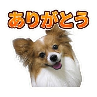 coron0coron's tweet photo. @uaE0WhqqsVABVzh ありがとうございます🙏✨️ https://t.co/uLJ51mgdVX