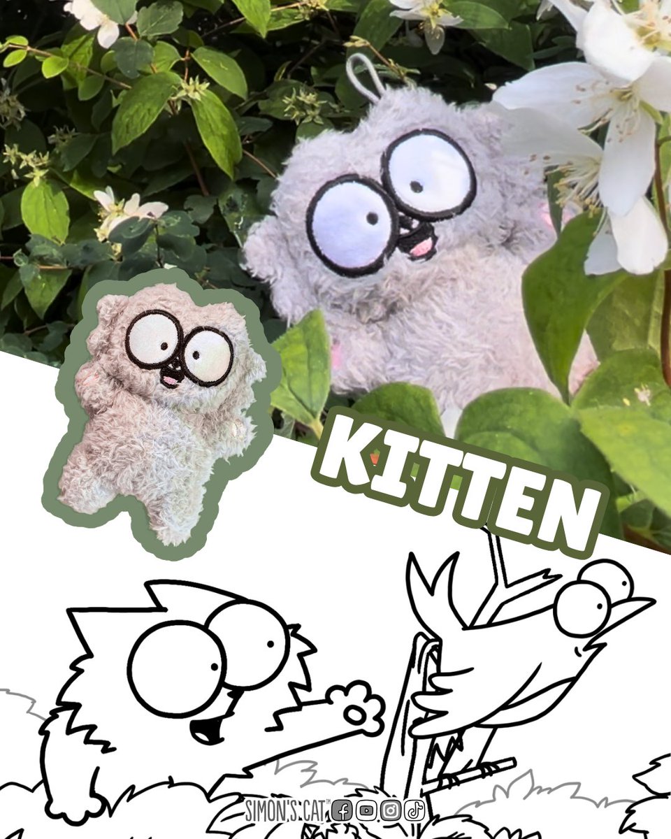 Simon's Cat 🐾 tweet media