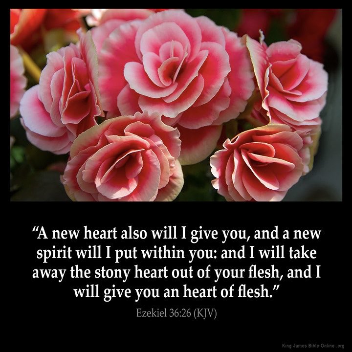 Teresa42254207's tweet photo. Thus saith the Lord, https://t.co/QvRtw7VsW0
