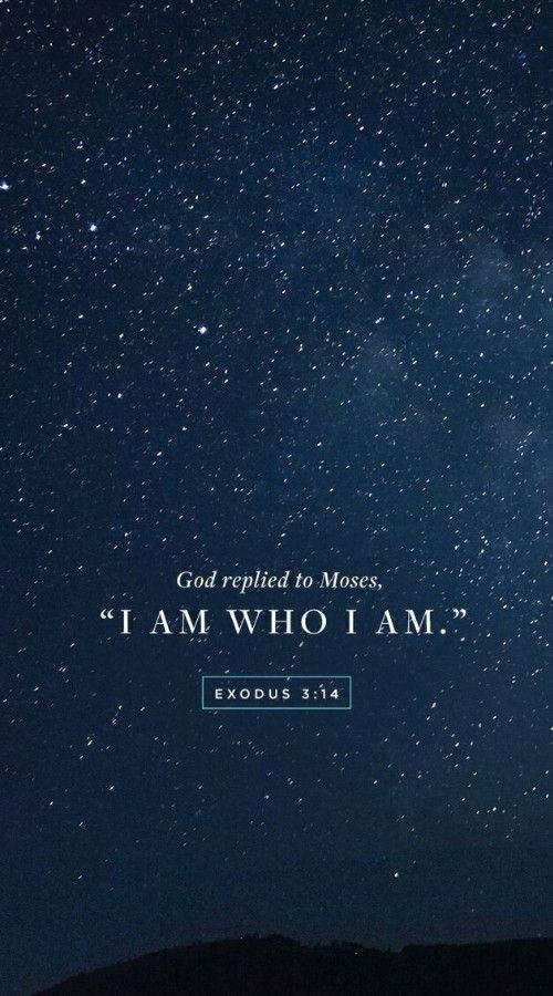Aestheticswallz's tweet photo. “I AM WHO I AM” https://t.co/yfHkUhaNzK