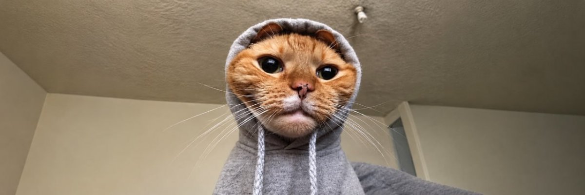 whalewatchalert's tweet photo. A community member just added a banner image for $HOOD on Moby 🖼️ https://t.co/1b9TThnLuo