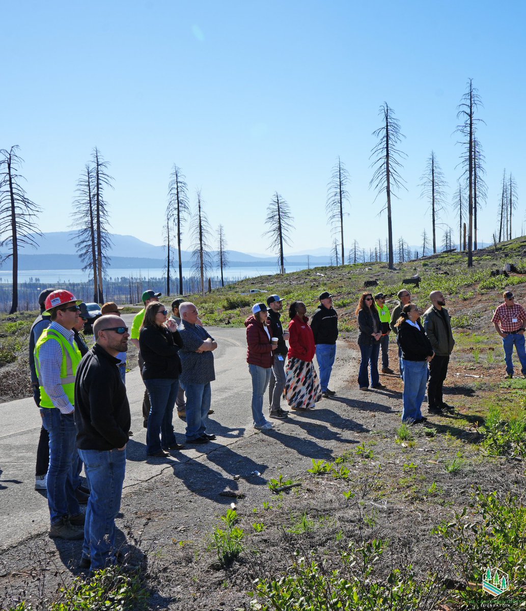 CalForests's tweet photo. On May 14–15, 2026 legislators and forestry leaders gathered in Chester to explore wildfire recovery, prescribed fire, reforestation, and active forest management in California’s forests🌲 https://t.co/3owqUCndYr