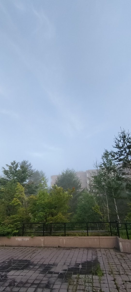 hujodus's tweet photo. 朝霧で霞んでるけど
久しぶりに晴れそう☀️

#朝の景色 https://t.co/2zlipCnQbq