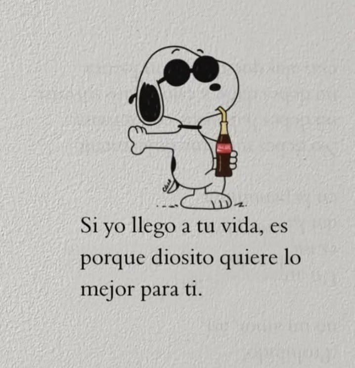eldolardiario's tweet photo. https://t.co/OJM5H5Z8qR