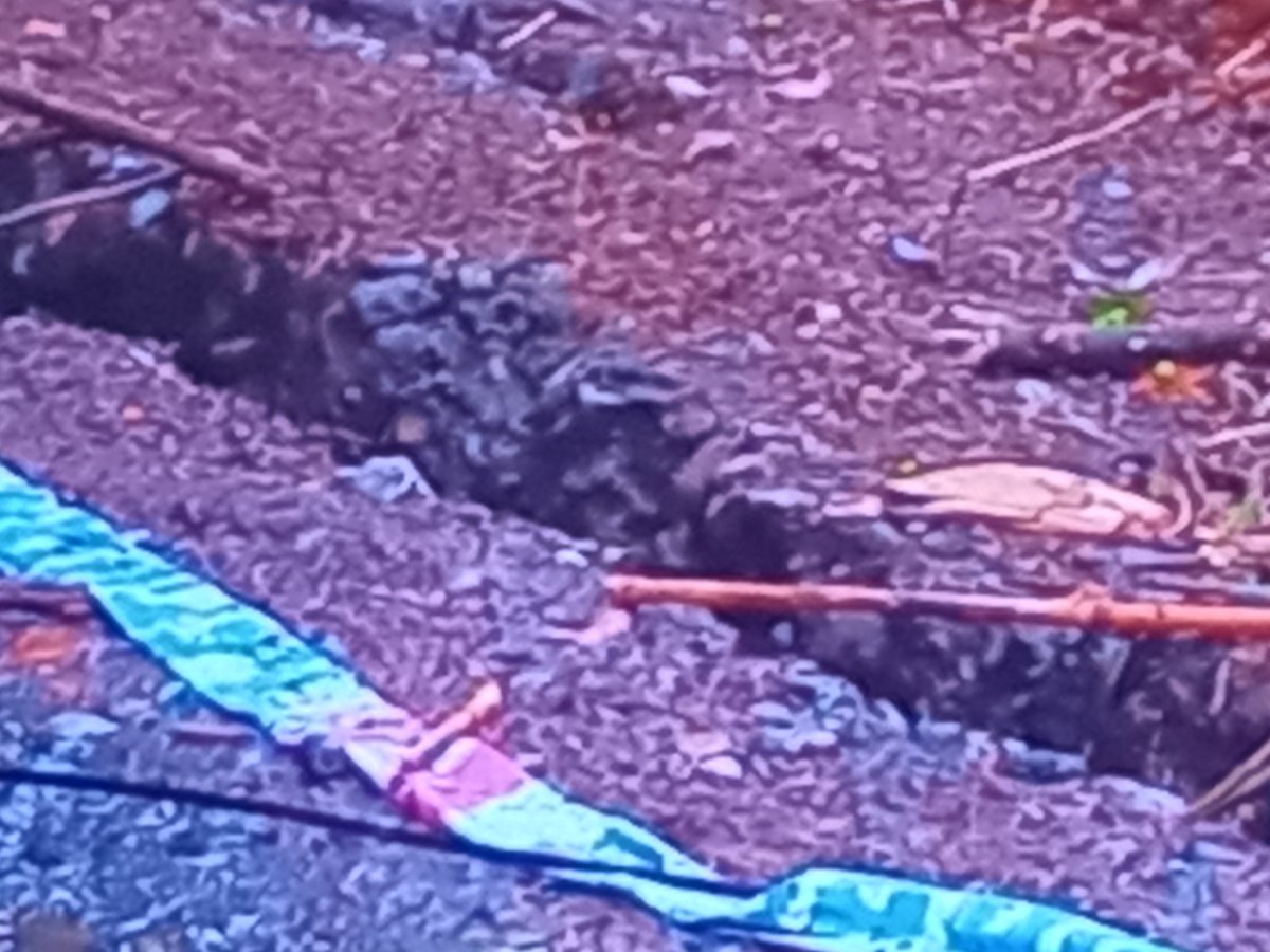 lucas_catorce's tweet photo. #Contigoendirectochv
Ese pedazo de terreno ? Es parte de un cerro?
#Socavón https://t.co/n2BBvqUOOP