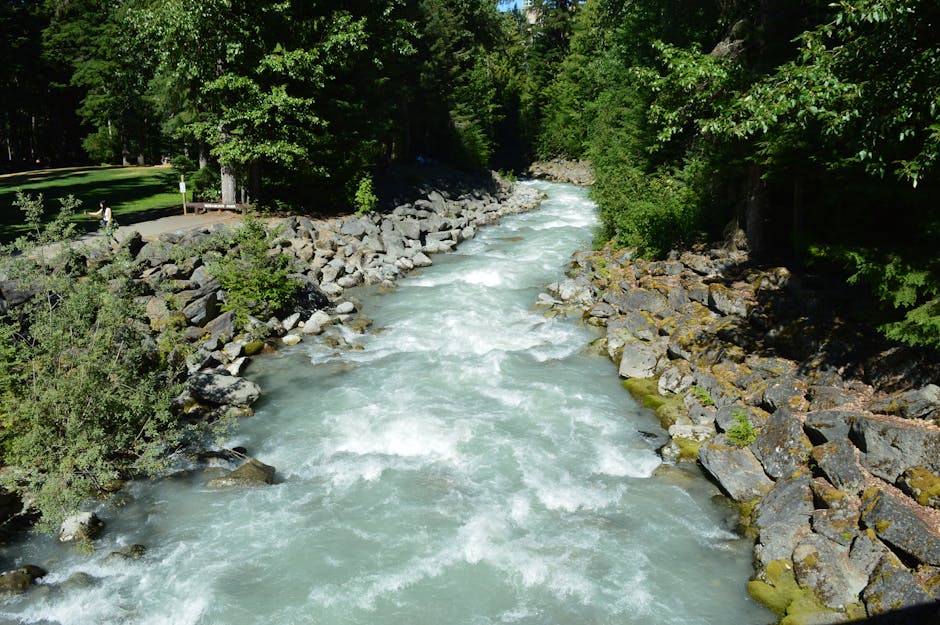 CollettePouskr's tweet photo. ربما على حياتك هي شهادة النجاح. النجاح هو مفتاح مستقبلك. lexie vanni😭 https://t.co/4C4odljxiN
