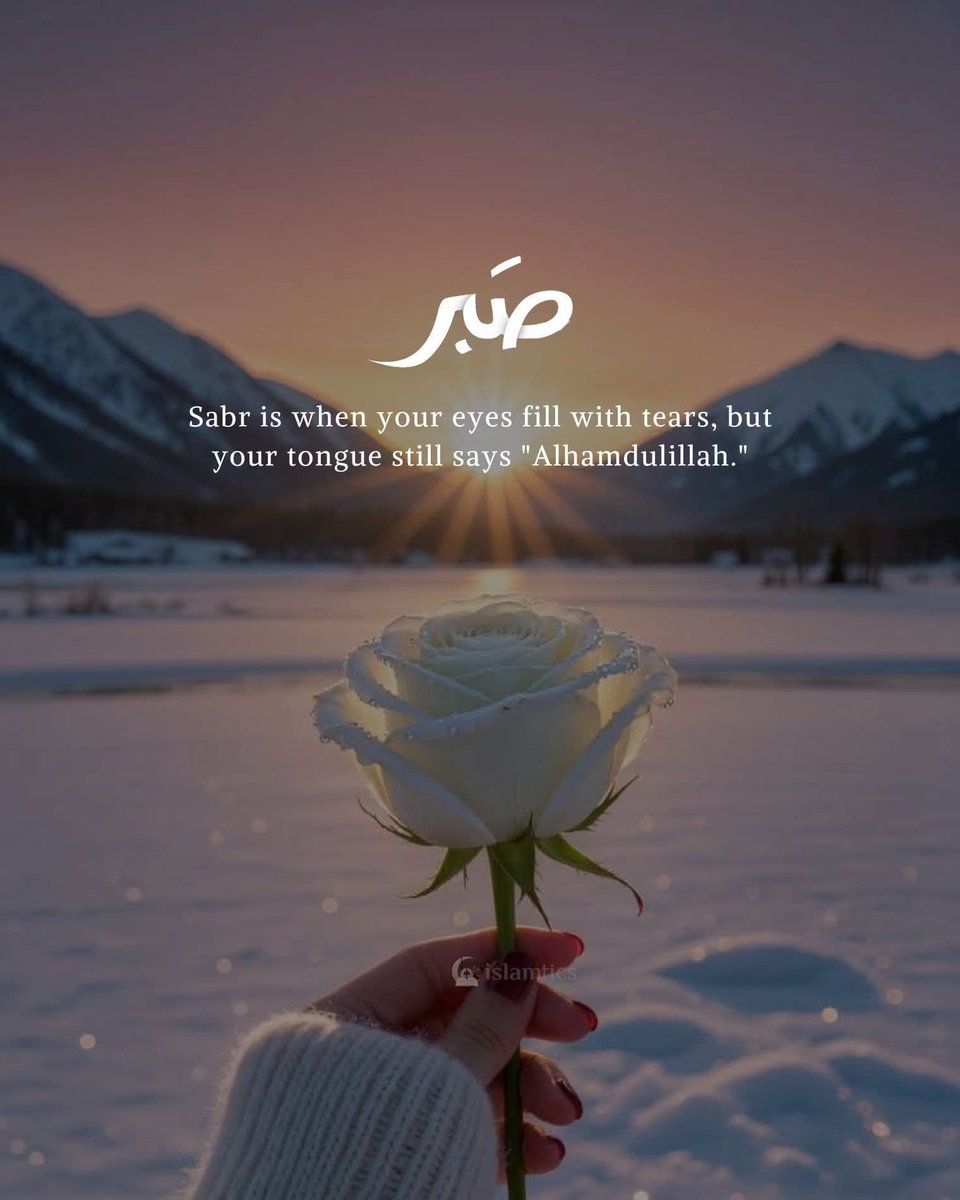 AnishaMohammed's tweet photo. https://t.co/IpecsxFngJ