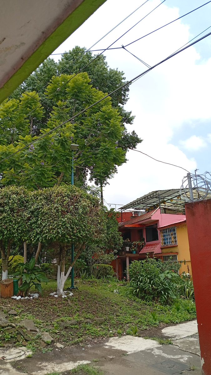 MIELBETA's tweet photo. Xalapa https://t.co/nUY67VomDI