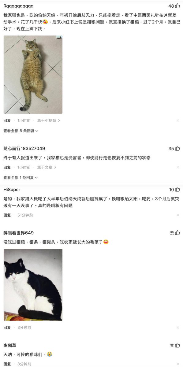 jenniferzeng97's tweet photo. 🙀OMG!. In CCP-ruled China, even cat food is no longer safe! Thousands of cats mysteriously paralyzed — suspicion points to domestically made cat food!

Recently, mainland China has seen reports of thousands of kittens suffering paralysis in their hind legs. After various medical tests came back normal, cat food became the focus of suspicion among pet owners and veterinarians. Most owners said their cats had eaten the same brand of domestically produced cat food.

Today (July 8), the topic “More than 65% of over 1,000 paralyzed kittens ate the same brand of cat food” became a trending topic on multiple mainland Chinese social media platforms.

According to many consumers, after their pet cats ate certain cat food products, they developed symptoms such as weakness in the hind legs, unstable walking, dragging their back legs while crawling, and incontinence. In severe cases, the cats became completely paralyzed.

After the cats were taken to veterinary hospitals, known causes such as cardiac thrombosis, lumbar spine injury, and neuroimmune diseases were ruled out one by one. Veterinarians and owners strongly suspected that the problem was related to cat food. Some cats gradually improved after switching to a different food.

As more and more cats developed similar symptoms, cat owners began forming mutual-aid groups on social media to share treatment methods and look for the cause.

The organizer of one mutual-aid group said the group had recorded more than 5,000 suspected cases of sick cats. Based on more than 1,000 sample cases, about 65.58% of the cats had eaten the domestic cat food brand Pure&Natural. About 24.6% had eaten Fregate cat food, a brand under GAMBOL Pet Group. Sam’s Club Member’s Mark was also mentioned by some cat owners.

Pure&Natural is a high-end domestic cat food brand in China, with more than 800,000 followers on its Taobao flagship store. On the Black Cat Complaint platform, related complaints have accumulated to more than 100, most of them concentrated from the second half of 2025 to the present.

One cat owner told mainland media that her 12-year-old cat suddenly suffered hind-leg paralysis. After visiting several veterinary hospitals, the veterinarians all pointed to Pure&Natural cat food, which the cat had been eating all along. The fact that the cats gradually improved after changing food also confirmed the veterinarians’ suspicions.

The cat owner said Pure&Natural is marketed as a high-end domestic pet food brand, and its price is not low. While her cat’s illness still had no clear diagnosis, she discovered on social media that many other cats had developed the same symptoms, and many of them had also been eating Pure&Natural.

A cat owner in Chengdu had three ragdoll cats, all of which fell ill one after another within four months. After the veterinarian learned that her cats had eaten Pure&Natural cat food for eight years, the vet suggested changing their food to investigate the possible trigger.

Cat owner Li Saifei’s cat became paralyzed in the hind legs in August 2025 and could only drag the rear half of its body to move. He took the cat for a full examination but found no abnormalities. He then suspected the problem might be the cat food. Before the illness, the cat had been eating Sam’s Club MM cat food. The product’s manufacturer is GAMBOL Pet Group Co., Ltd., which is also the parent company of Fregate cat food.

After switching cat food, the cat returned to normal in less than a month.

In response, related companies have said that their products passed quality tests and that there is no direct evidence proving a link between the products and the symptoms. Cat owners said their complaints have gone unresolved for months. One cat owner shared the recovery process of her cat on social media, but because she mentioned that the “cat had eaten Pure&Natural for three years,” her post was suppressed.

Mainland Chinese netizens have been discussing the issue heatedly:

“My cat ate Pure&Natural for about half a year and then became paralyzed in the hind legs. After switching food, getting sunlight, and taking medicine, it recovered after three months. It really was a problem with the cat food.”

“My kitten ate Pure&Natural. It went from occasional seizures to frequent seizures. The hospital couldn’t find the cause, and it died soon after. It was heartbreaking. We had raised it for six years, and the whole family loved it. We thought we were feeding it good cat food. Who would have known this would happen?”

“My cat had the same problem. It ate Pure&Natural. At the beginning of the year, it started having weakness in the hind legs and could only drag itself around. We tried Chinese medicine, Western medicine, acupuncture, and X-rays, and almost went as far as surgery. We spent several thousand yuan. Later, I saw on Xiaohongshu that it might be a cat food problem, so I switched the food right away. After two months, it recovered on its own. Now it is jumping all over the place.”

“When the Sanlu milk powder scandal happened, I wondered why people would feed the same thing for years without changing it. Now it is the same with pets. Why never change the food? Even a human couldn’t stand that, right? Who eats only one kind of meal for an entire lifetime? I buy cat food for the stray cats near me, and I buy all kinds of brands. Sometimes I mix several kinds together. What difference does it make?”

“I suggest everyone sue the brand together and seek justice for our furry children. Only by working together can we protect the rights of ourselves and our pets.”

A similar incident also occurred in early 2021. At that time, many cat owners said their pet cats suffered hind-leg paralysis, death, or miscarriage after eating cat food made by Haid Group. But this latest incident appears to be on a much larger scale.

Photo 1: A screenshot from Chinese social media. One netizen wrote: “After feeding my cat Pure&Natural cat food for two years, the cat suddenly became paralyzed in the hind legs. I bought Pure&Natural cat food on Pinduoduo. After being fed with Pure&Natural for two years, the cat suddenly became paralyzed in the hind legs.

[Complaint target] Pure&Natural High-End Natural Food

[Complaint request] Compensation”

Another netizen wrote:

“Pure&Natural cat food made my cat paralyzed.

“My cat had always eaten Pure&Natural cat food. It did not eat canned food or other foods, and it had never been sick. From February this year until now, I found that my cat became paralyzed. It developed from hind-leg weakness to being unable to move. The hospital examination showed all indicators were normal. It is suspected to be food-related nerve damage. I heard that many cats became paralyzed after eating this cat food. I also found online that many other people’s cats had the same paralysis symptoms. I am now demanding a refund and compensation for my cat’s treatment costs.”

Photo 2: Several netizens left comments:

Netizen 1: “My cat had the same problem. It ate Pure&Natural. At the beginning of the year, it started having weakness in the hind legs and could only drag itself around. We tried Chinese medicine, Western medicine, acupuncture, and X-rays, and almost went as far as surgery. We spent several thousand yuan. Later, I saw on Xiaohongshu that it might be a cat food problem, so I switched the food right away. After two months, it recovered on its own. Now it is jumping all over the place.”

Netizen 2: “Finally, someone has reported this. My cat is also a victim. Even though it can walk now, it has never returned to its previous condition.”

Netizen 3: “Yes. After my cat ate Pure&Natural for about half a year, it became paralyzed in the hind legs. After switching cat food, getting sunlight, and taking medicine, it suddenly recovered one day after three months. It really was a problem with the cat food.”

Netizen 4 posted a photo of a healthy cat and wrote: “This furry child grew up eating farm meals. It has never eaten cat food, cat treats, or canned cat food.”

Netizen 5 wrote: “Oh my God. Those poor cats.”