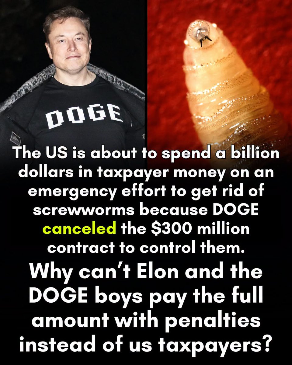 perryloganclone's tweet photo. https://t.co/v3DKq1jHmJ