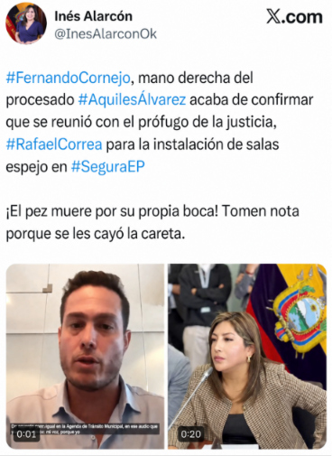 Ecuador En Directo tweet media