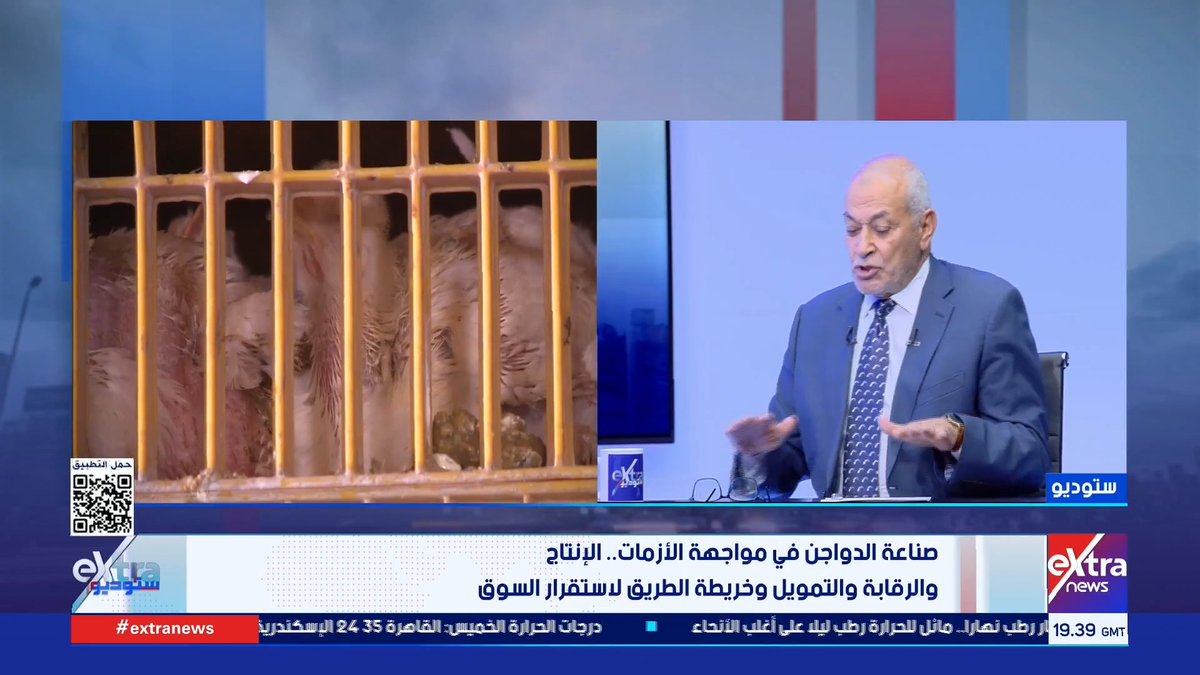 البيع بأقل من التكلفة.. د. عبد العزيز السيد رئيس شعبة الدواجن: لا يوجد مشكلات في إنتاج الدواجن ولكن الحلقات الوسيطة تصنع أزمات للمواطن #ستوديو_إكسترا 