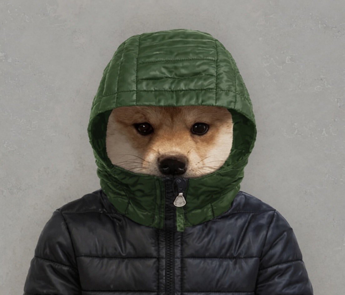 makeit2030's tweet photo. @0xSweep solana:D2XvLipYuPFgJ42kB6U4ihmHENStT7h2BS2iN5NtzZKg 🔥

$HOOD https://t.co/1uCstmjHTd