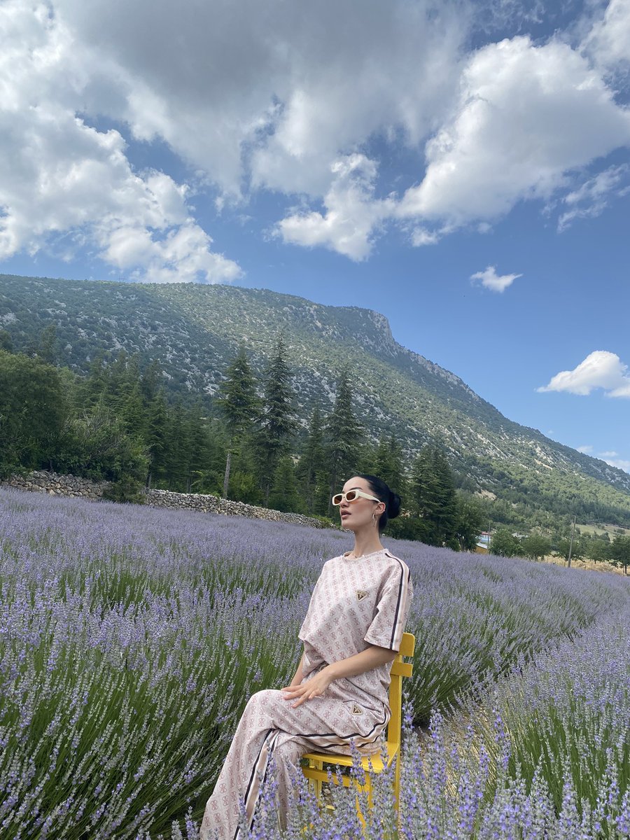 silabrr1's tweet photo. 🦋 https://t.co/V2c56T7Fgs