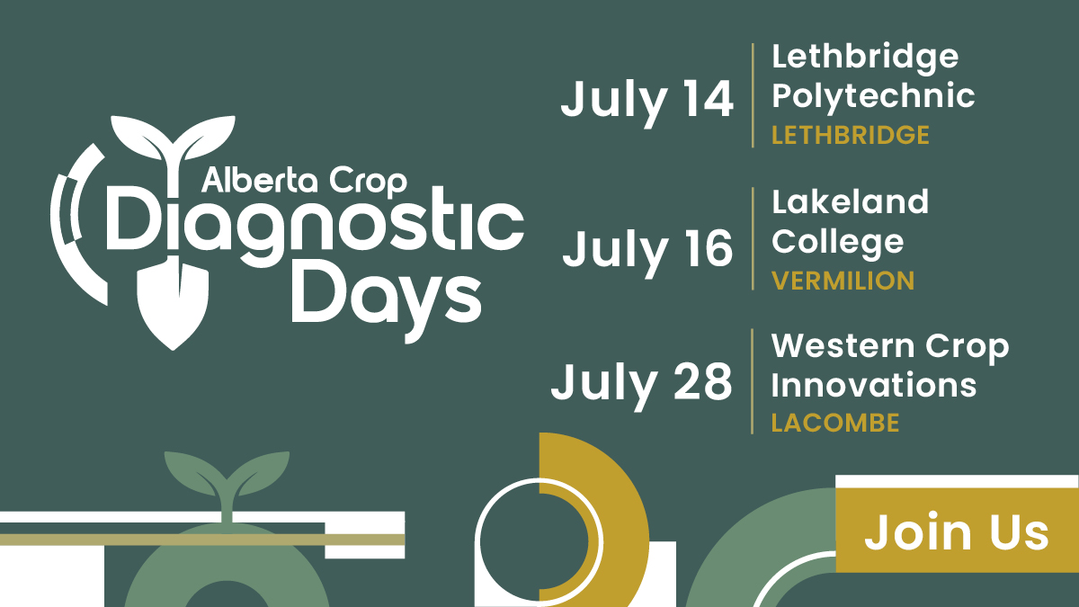 AlbertaGrains's tweet photo. Producers, agronomists, researchers and students are invited to Alberta Crop Diagnostic Days at Lethbridge Polytechnic on July 14.
Learn more and register: https://t.co/L4xemhp3qm
#AbAg #WestCdnAg https://t.co/T332hH7xBe