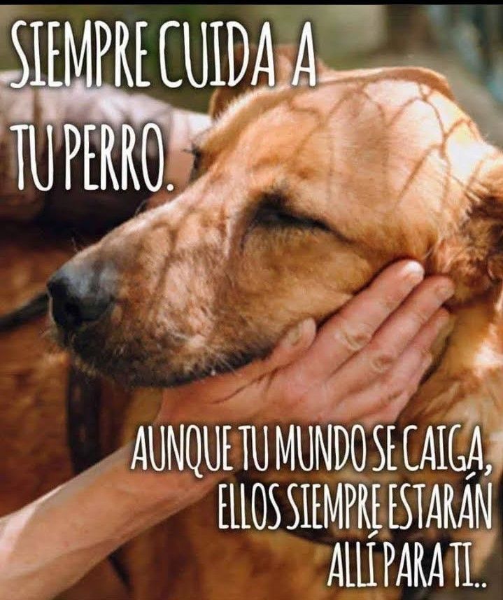 rey_latino33087's tweet photo. https://t.co/05Jh0gVmWn
