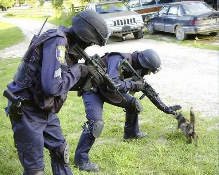BorkinMan's tweet photo. "Video games make people violent."
Me, in video games: https://t.co/bMii866DoQ