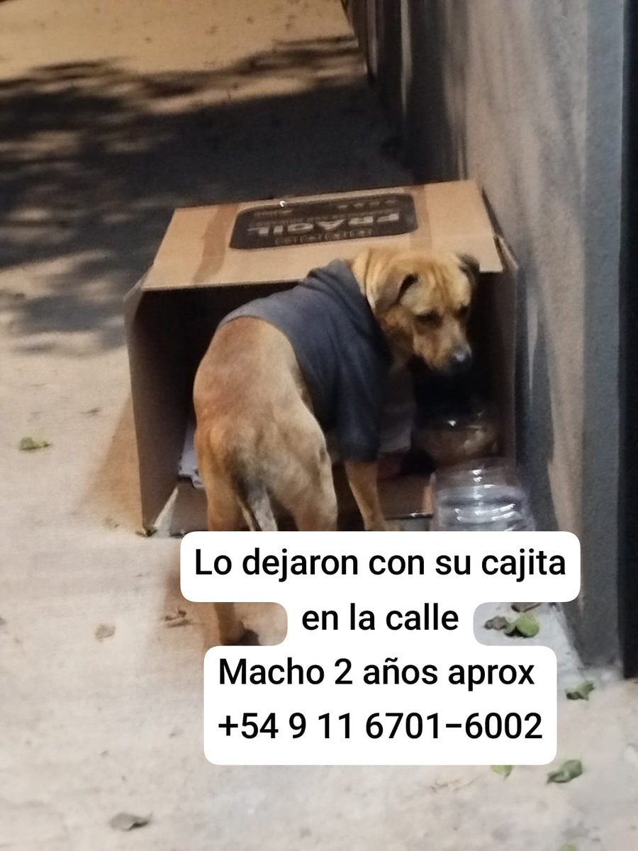 patripeyrou's tweet photo. Difundimos https://t.co/vCjFtZVjDu