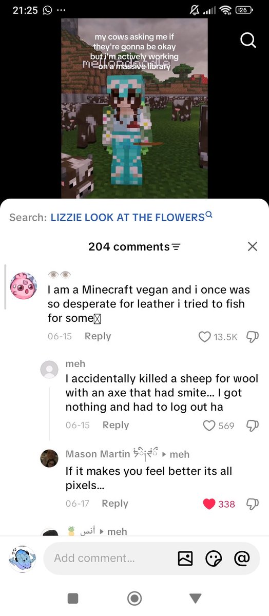 APurrymess's tweet photo. I guess bro 😭#minecraft #soft https://t.co/SjMihuzShv