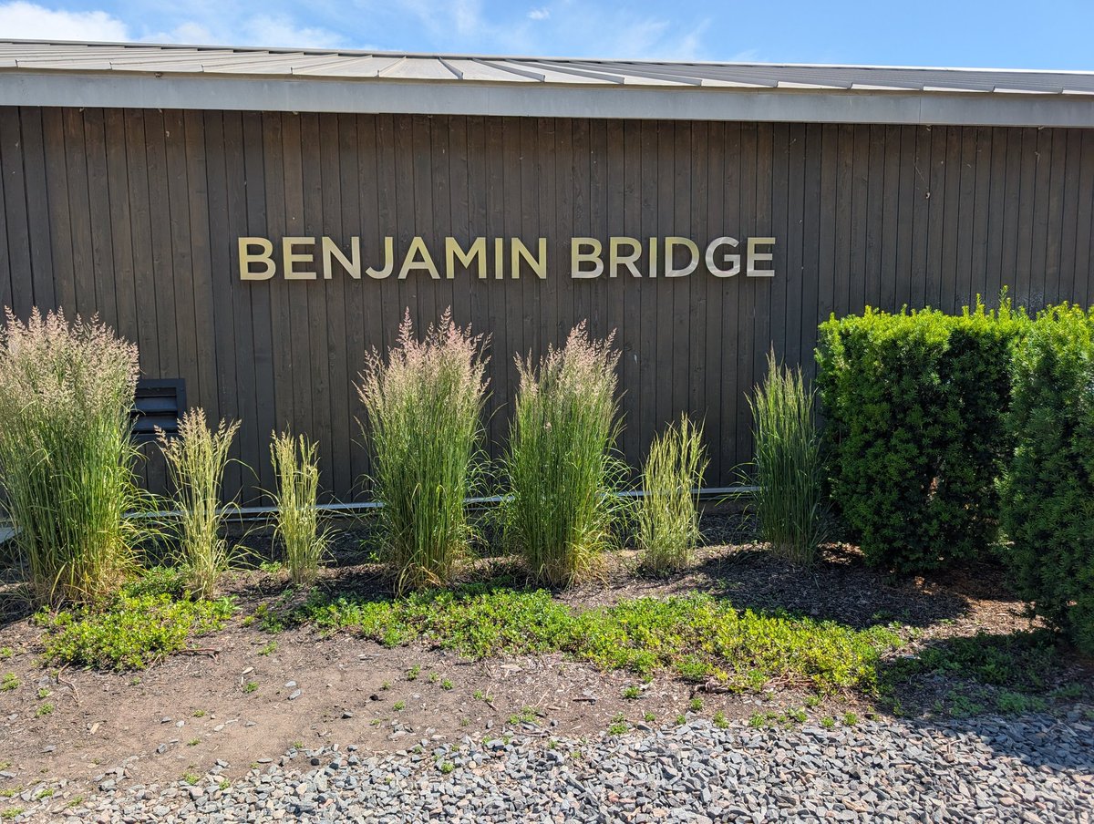 TTRRMK's tweet photo. Hitting up one of my favorite places in Nova Scotia #BenjaminBridge #wine #NS #vacation #vineyards https://t.co/68GzEOaggq