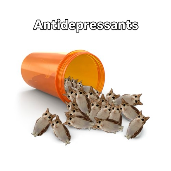 MaciekCh7's tweet photo. my doctor told me this pills are a scam 😭 https://t.co/vhiOXIP2M3