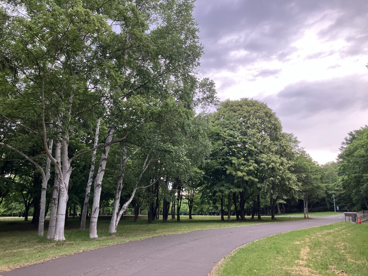 Z6Thc's tweet photo. 今日はこれから雨のようで湿度高く蒸し暑い朝です11km走。公園ではポツポツと降り出して濡れた地面から立ち昇る土の匂いがどこか懐かしい気持ちに誘います。さぁて今日も整いましたよー行きますかー笑。 https://t.co/qlJKUKWZAk