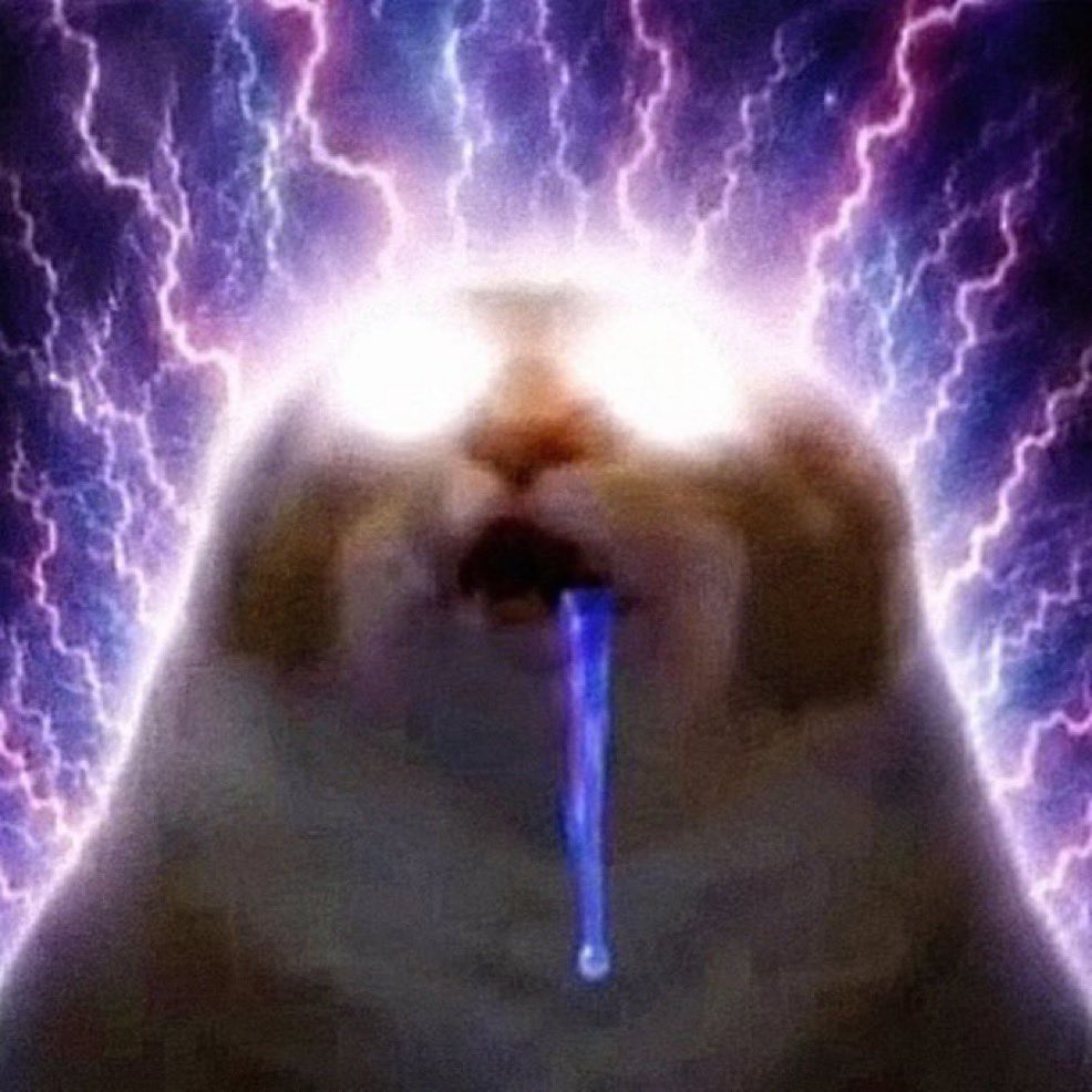 Unstable Beaver 🦫🛡️⚔️ tweet media