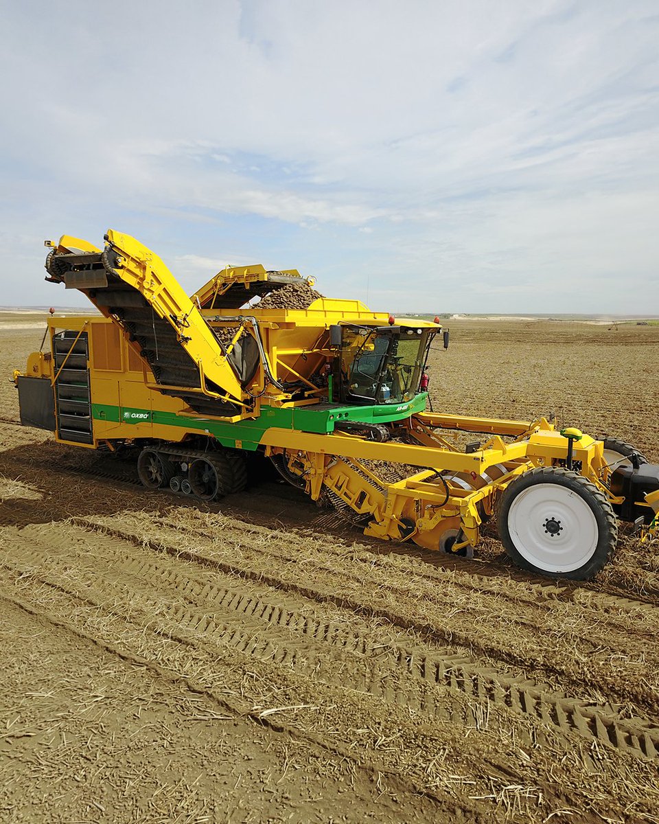 OxboCorp's tweet photo. When it comes to harvesting, every detail matters. From gentle crop handling to increased capacity &amp; reliable traction, these features on the AR-4BX are designed to help maximize productivity throughout harvest.
🥔Soft-Pocket Elevator
🥔14-ton bunker
🥔Class Terra Tracs
#oxboisag https://t.co/mJgMz84XkY