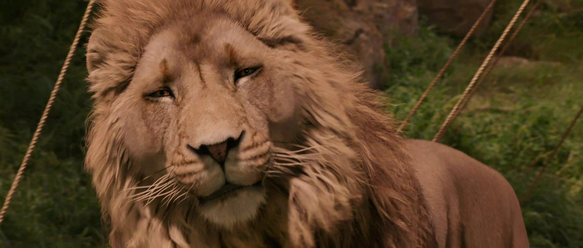 lupainthenorth's tweet photo. category is movies of the 2000s having better special effects, design and cgi than anything that came out after https://t.co/4EXNAMbgZw