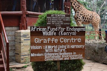 SafariDialysis's tweet photo. Le Centre des Girafes AFEW à Lang'ata, Nairobi, fondé en 1979 pour sauver la girafe de Rothschild. Aujourd'hui, plus de 4 000 vivent à l'état sauvage. Une étape incontournable au Kenya.
@OmapaliSafaris: dialyse coordonnée, itinéraire sur mesure et souvenirs inoubliables. https://t.co/BAWKFar2tB