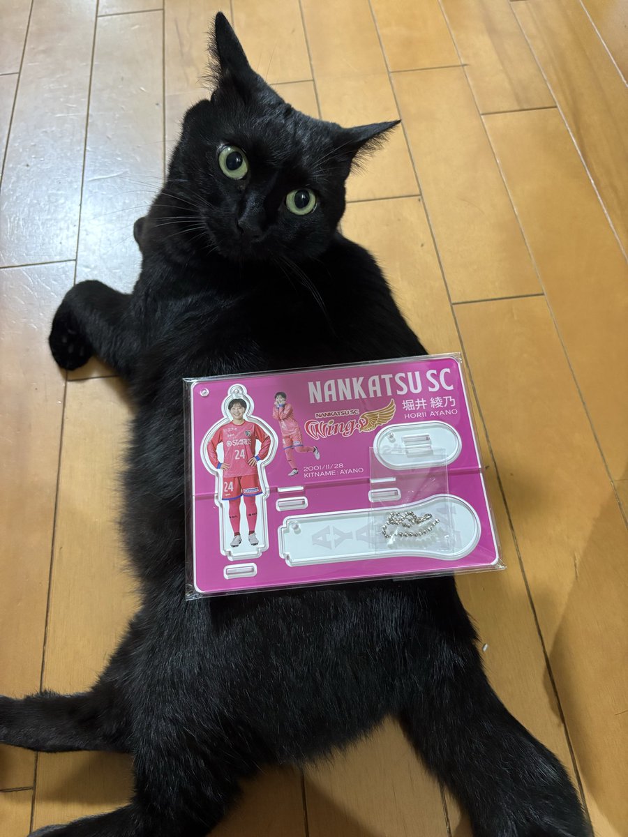 HerabunaYuki's tweet photo. アクスタ届きました！
しばらく夜勤ですが頑張れそうです🤣
永遠選手、莉子選手宛名書きありがとうございました🙏

#南葛SCウイングス
#堀井綾乃 https://t.co/b5fZzaJgXz