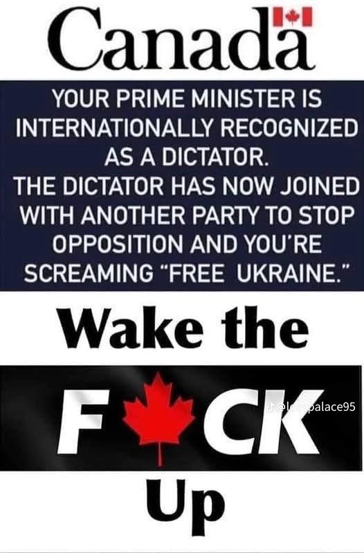 Harmony47383691's tweet photo. The World Is Watching .. 
To All You Lib MP’s Out There Are You Proud Of Your Leader .. 
It’s Up To You To Stop Him .. 
#CarneysConJob https://t.co/kzW8GASDLQ