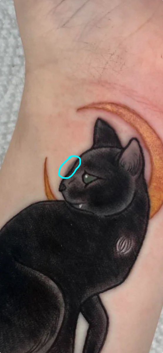 Mirahblox's tweet photo. @M1das_OW2 I like how he’s poking out a little https://t.co/A2AfH7Siis