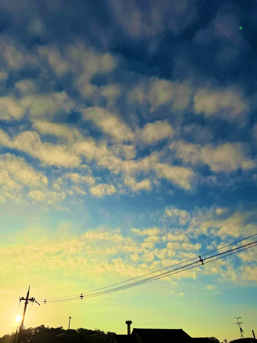 nabedon_306's tweet photo. おはようございます☀

今日も暑くなりそうです🐦‍⬛

#いまそら
#イマソラ
#photography
#ファインダー越しの私の世界
#キリトリセカイ　＃空ネット
#写真好きな人と繋がりたい https://t.co/8DV0EII6PI