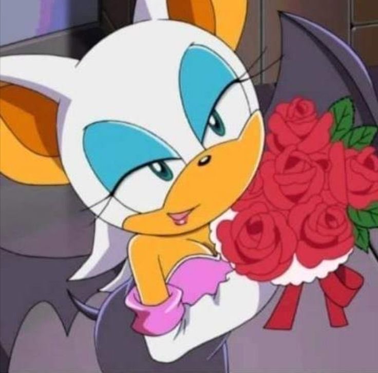 sleepy_rougee's tweet photo. She’s so pretty and precious, if I were Shadow I would want to hug her and never let go. https://t.co/rqKl09E0Os