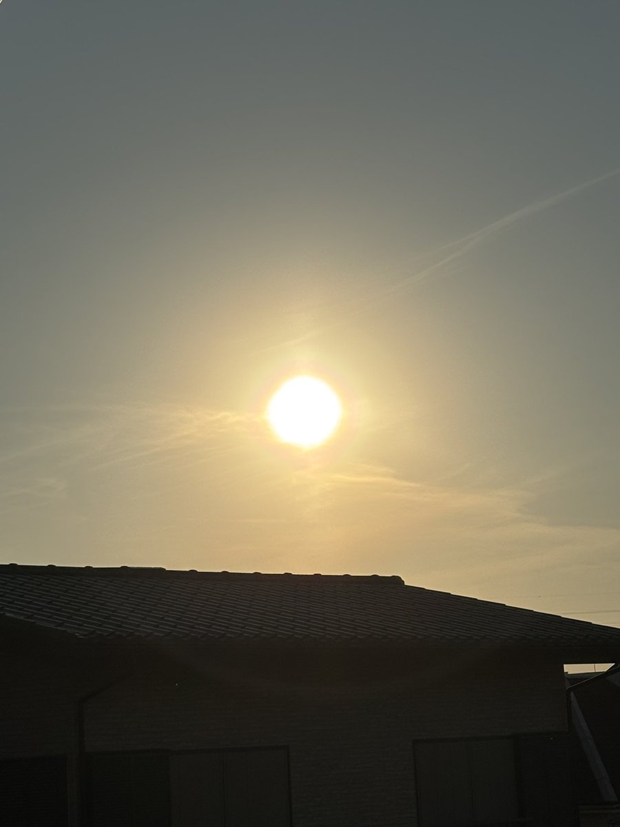 sakurasaita429's tweet photo. おはようございます☀️

気温20℃

爽やかな早朝…

お日様の陽射しが強く🔅🔆

30℃となる今日は

真夏の暑さです

関東も梅雨明け宣言が

出るかもしれませんね

暑さ対策して

お出かけください

夏バテしませんように

良き一日を😊 https://t.co/6bgDr5bdqA