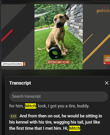 streamingnpc's tweet photo. @TheKodeusLabs literally next punch dog is too attached to his toy tire

just posted by nat geo

https://t.co/1uAX13gkoD https://t.co/4FPbnlwOTr