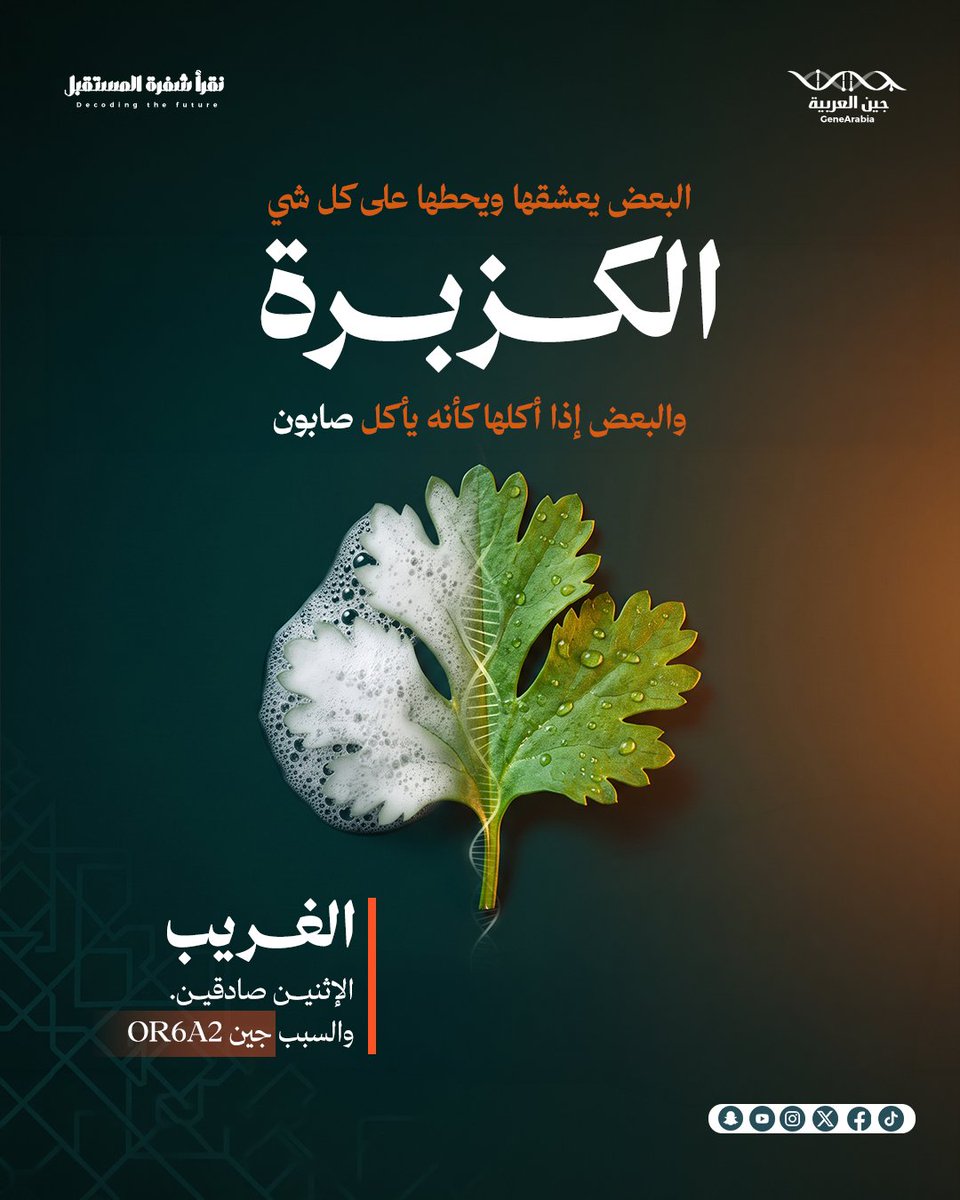 GeneArabia's tweet photo. تحس الكزبرة طعمها صابون؟
ترى الموضوع ما هو مبالغة 👀
بعض الناس جيناتهم تخلي حاسة الشم تلتقط مركبات الكزبرة بطريقة مختلفة… فيحسون بطعم صابوني فعلًا.
يعني اللي يحبها صادق، واللي يكرهها بعد صادق 🧬
#جين_العربية #نقرأ_شفرة_المستقبل #الكزبرة #الجينات #DNA #OR6A2 #علم_الجينات #معلومة_علمية #الصحة #السعودية