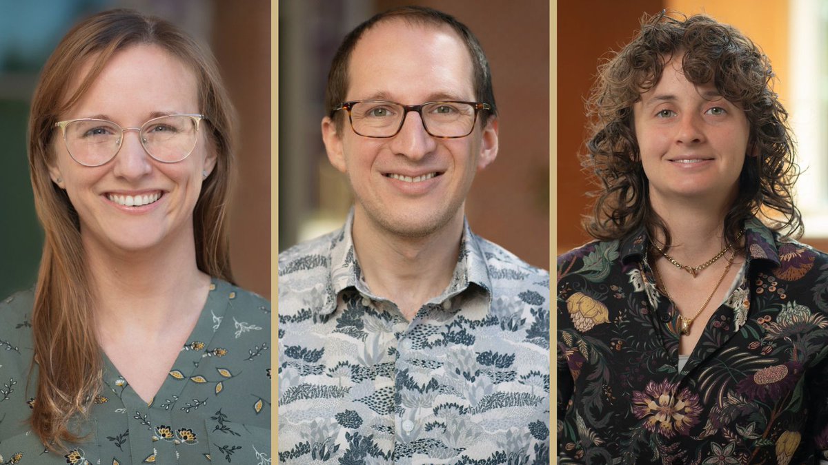 FSU Arts & Sciences tweet media