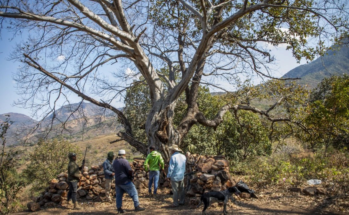 LaGaceta_1's tweet photo. Pobladores de la Sierra de Guerrero denuncian ataque de La Familia Michoacana con drones
https://t.co/omonQ7LbQb https://t.co/BlUYnjC0NQ