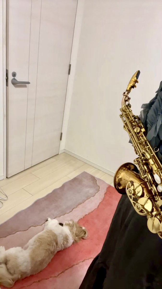 chikae_jyou's tweet photo. おつPure🎷👱‍♀️🐶

いつも
TikTok LIVE
YouTube LIVE
ありがとうございます❣️

Pure仲間最高👍
まだまだPure仲間募集中❣️
お待ちしてます❣️

Saxplayer
Singer-songwriter 
チカエ嬢🎷👱‍♀️🐶

Pure Pure〜♪

#チカエ嬢
#saxophone
#saxplayer 
#singersongwriter
#PurePure
#saxophone
#CurvedSopranoSax https://t.co/KhtB3GIFdo