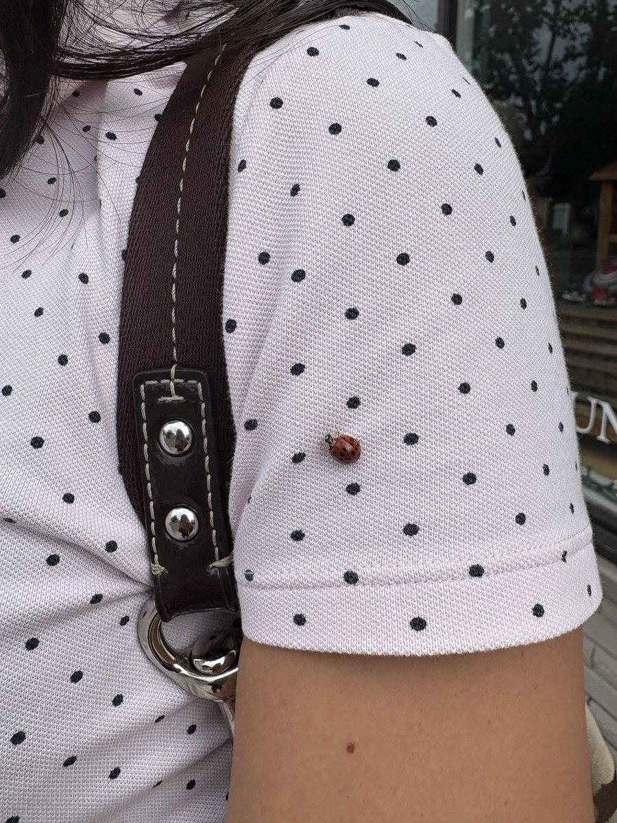 polkadtts's tweet photo. https://t.co/bRUKU9ah1I