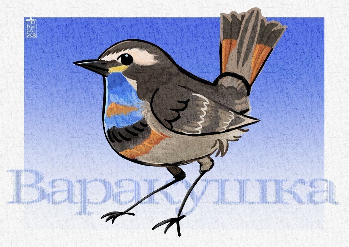 pomidorovv's tweet photo. i love birds sm #bluethroat #bird #art https://t.co/2y1zuub9F6