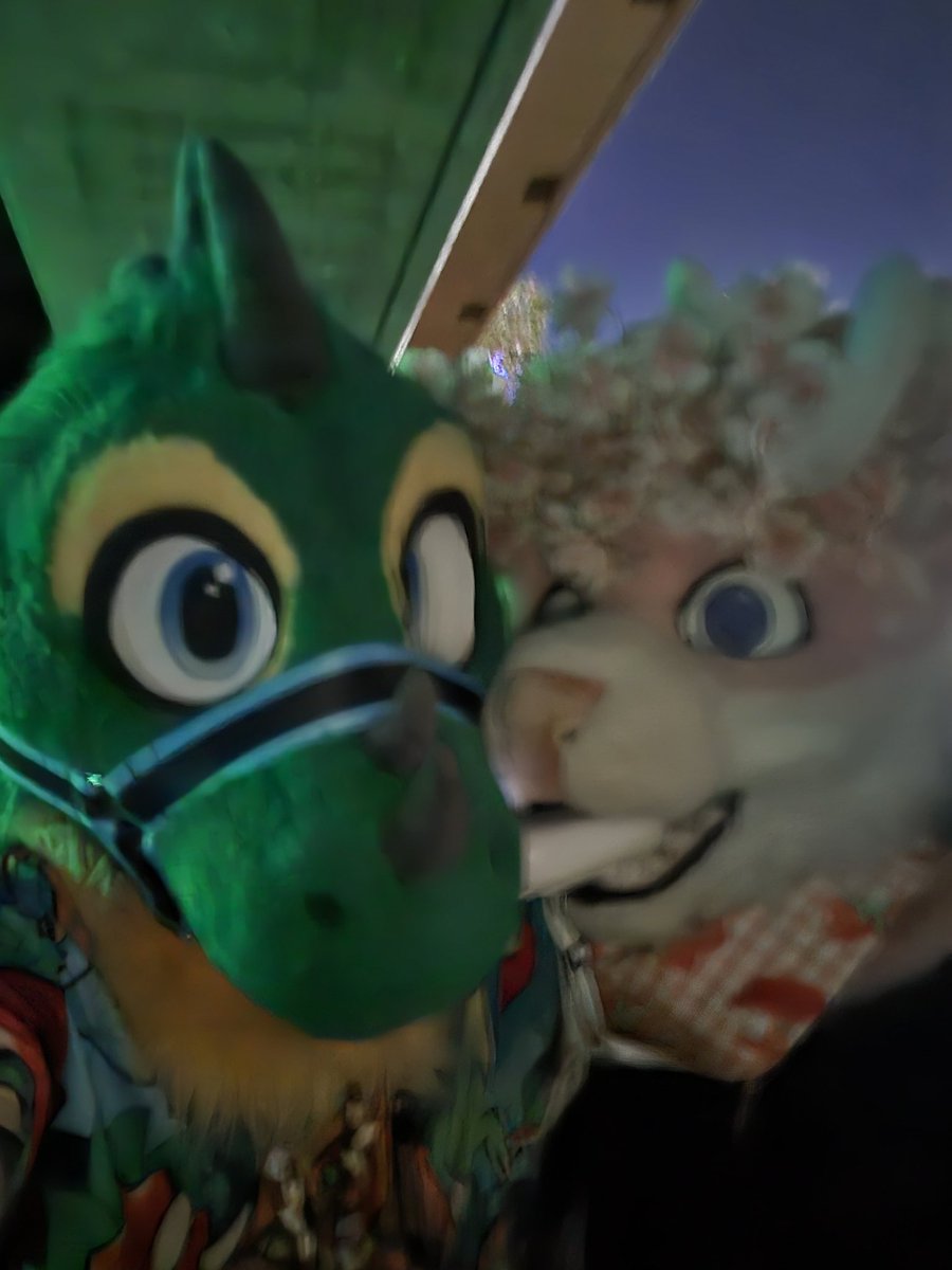 LunivyreDragoth's tweet photo. Some of my favorite pics I got with my little deer this AC 🩷💚

Credit to @xyshfox for capturing the first and last two photos for us with his goated camera :3 https://t.co/pamyrVcPeS