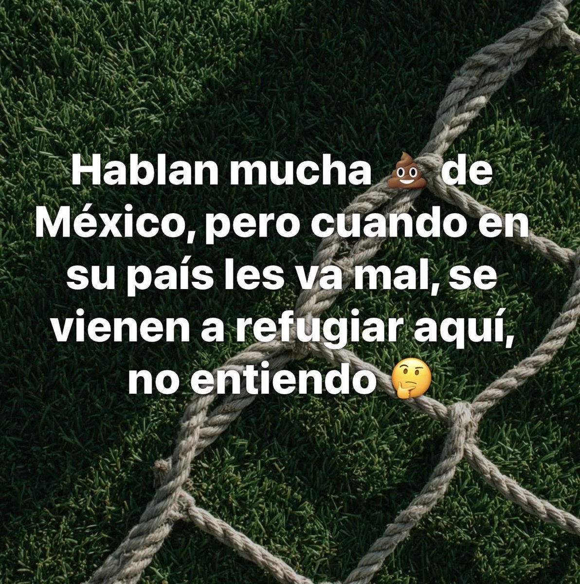 rocio vazquez tweet media