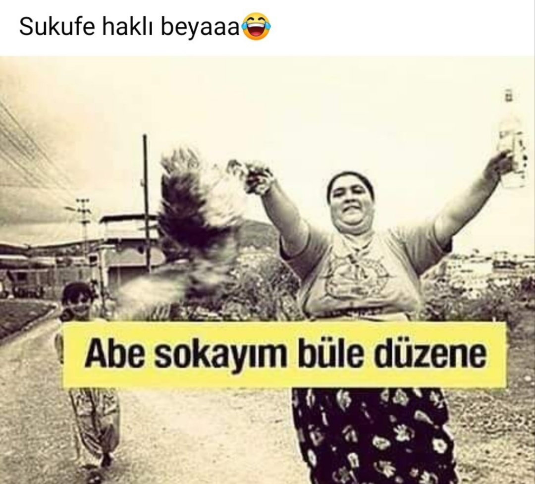 ekccevat's tweet photo. 🤷🤦🦧🎻🪉 https://t.co/mydyluiVrk